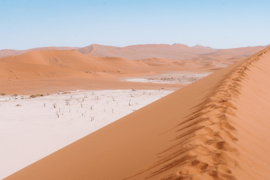 A person riding a bike on top of a sand dune