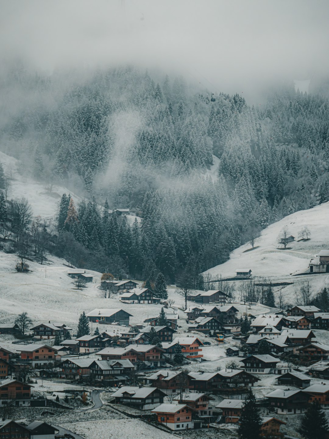 A village in the mountains covered in snow