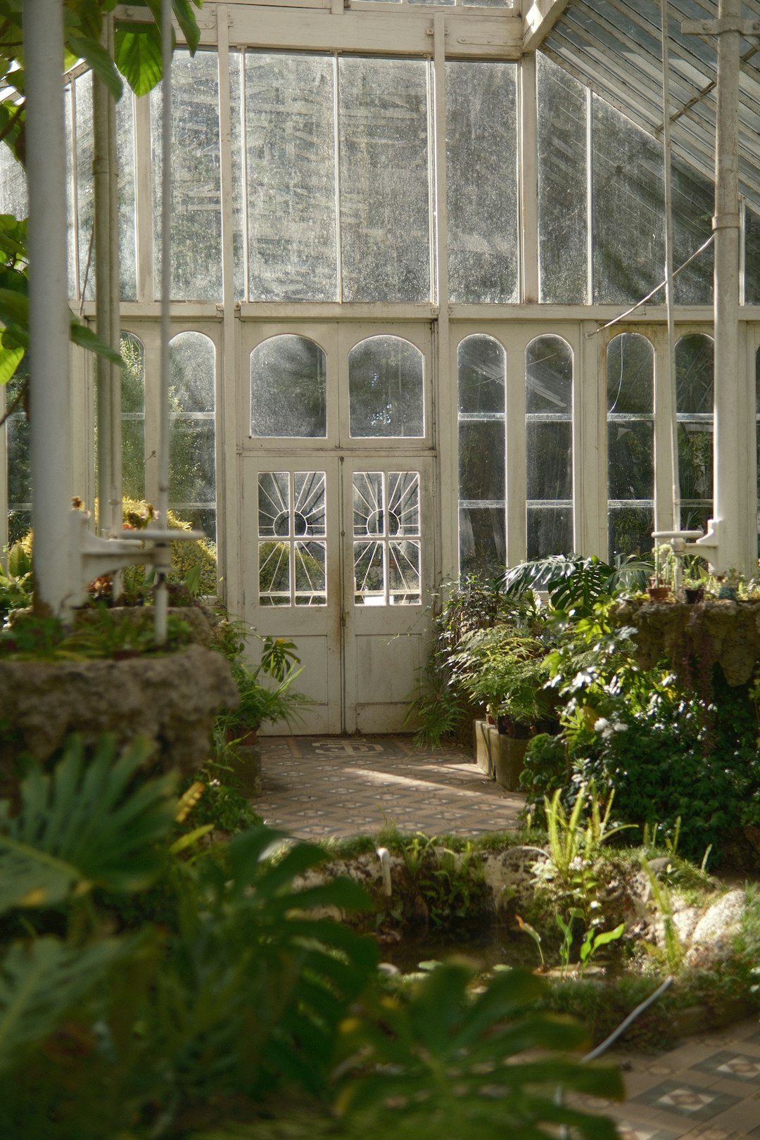 A greenhouse filled with lots of green plants