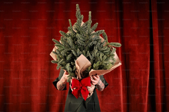 A person holding a christmas tree in front of a red curtain