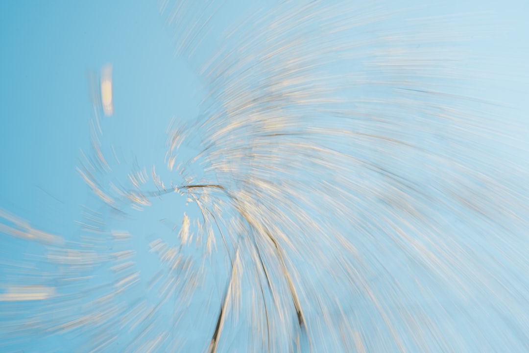 A blurry photo of a dandelion against a blue sky