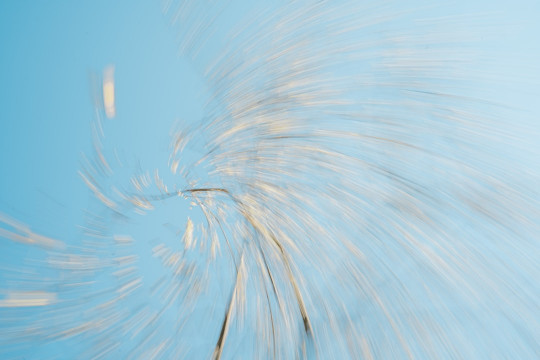 A blurry photo of a dandelion against a blue sky