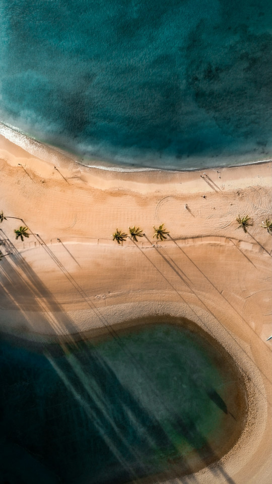 An aerial view of a sandy beach with palm trees