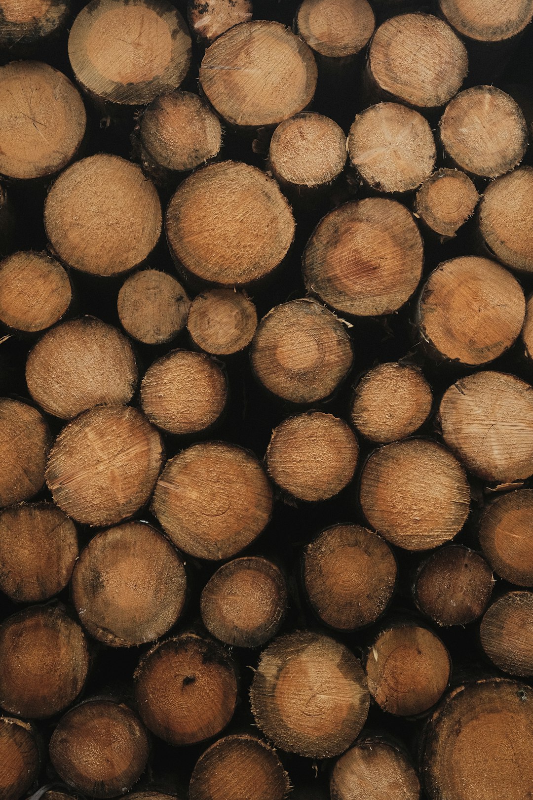 A close up of a pile of wood logs