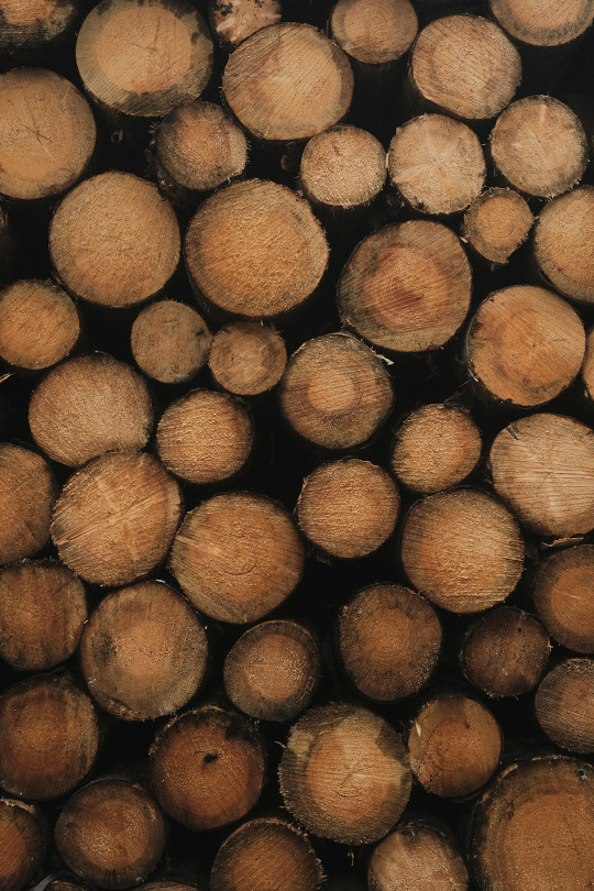 A close up of a pile of wood logs