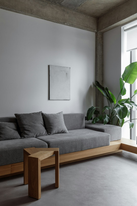 A living room with a couch and a plant