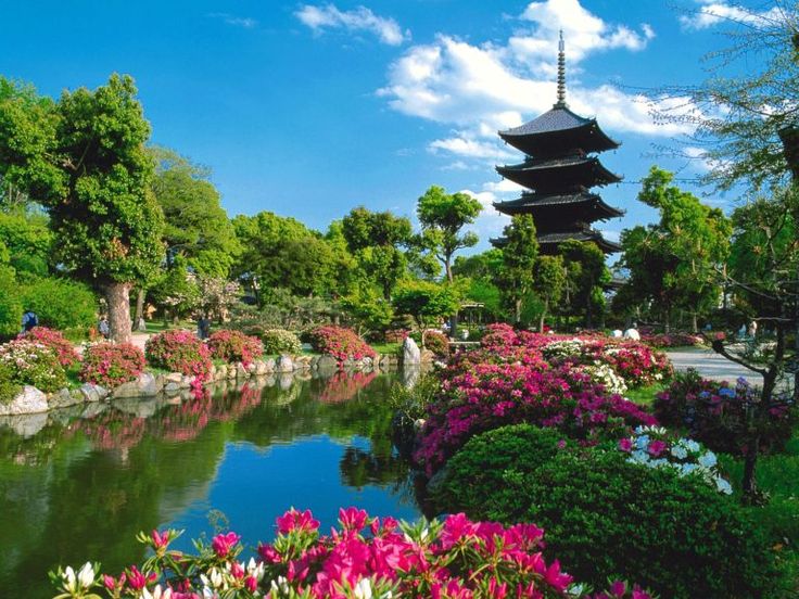 Jardines de japon