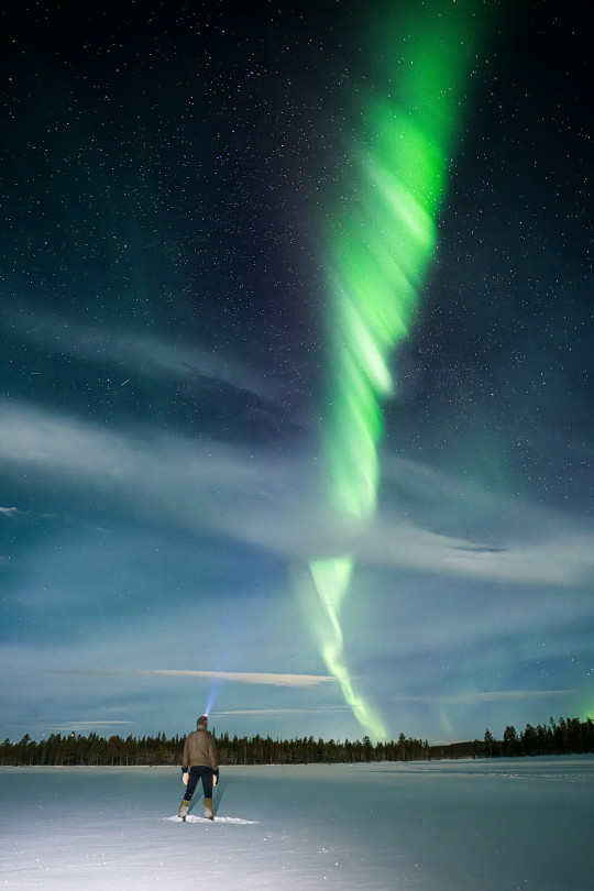 A man standing in the snow under a green aurora bore