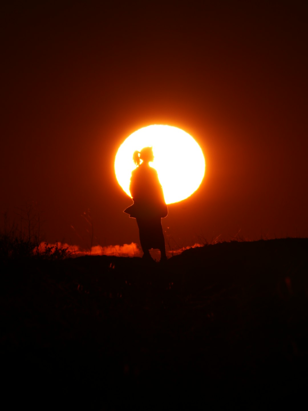 A person standing in a field with the sun in the background