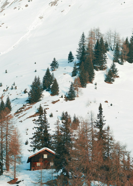 A cabin in the middle of a snowy mountain