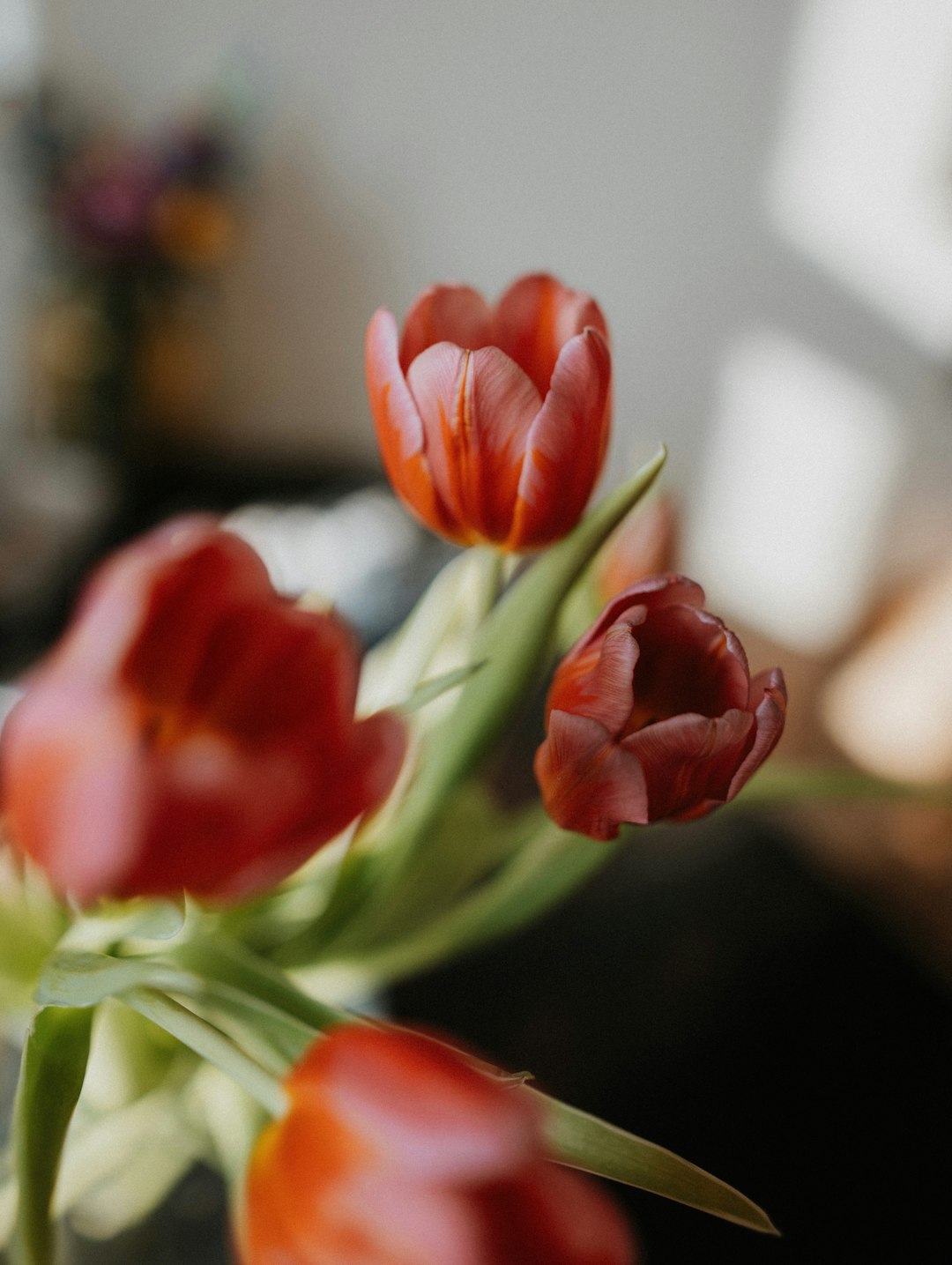 A vase filled with red flowers on top of a table