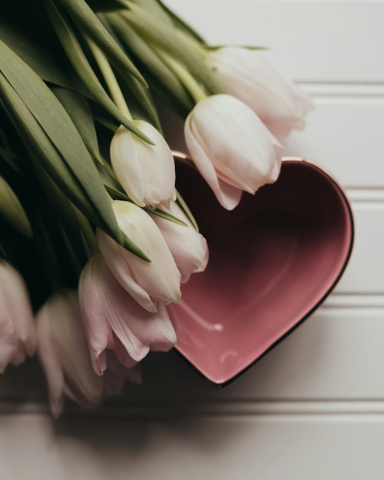 A pink heart shaped vase filled with white tulips