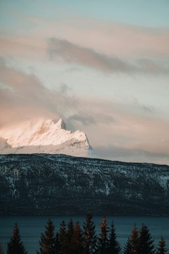 A snow covered mountain with trees in the foreground