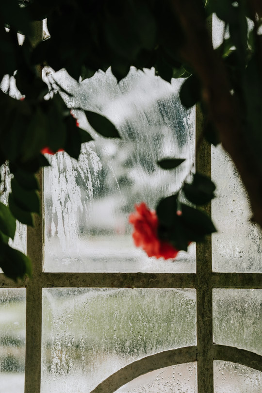 A window with a view of a tree outside