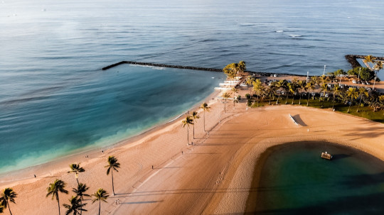 An aerial view of a beach with palm trees