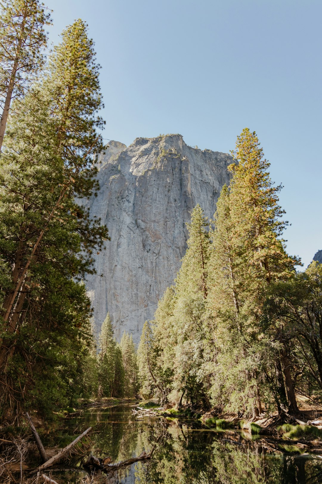 A view of a mountain and a lake in the woods