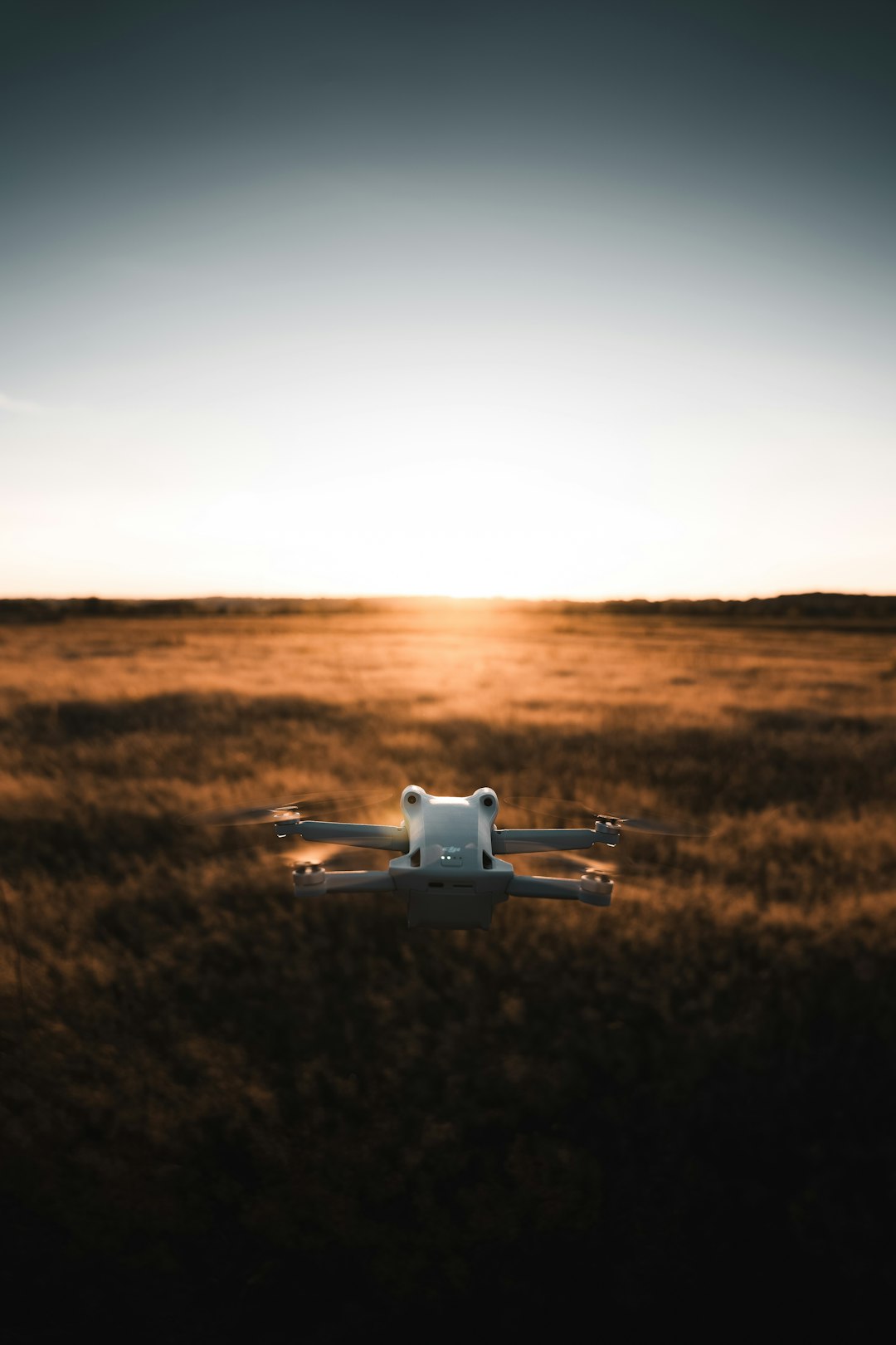 A small white and black object in a field