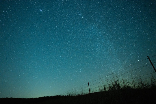 The night sky with stars above a field