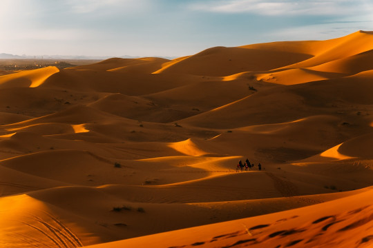 A group of people walking across a desert