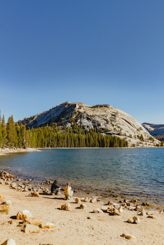 A large body of water surrounded by trees