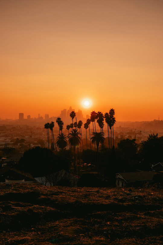 The sun is setting over a city with palm trees