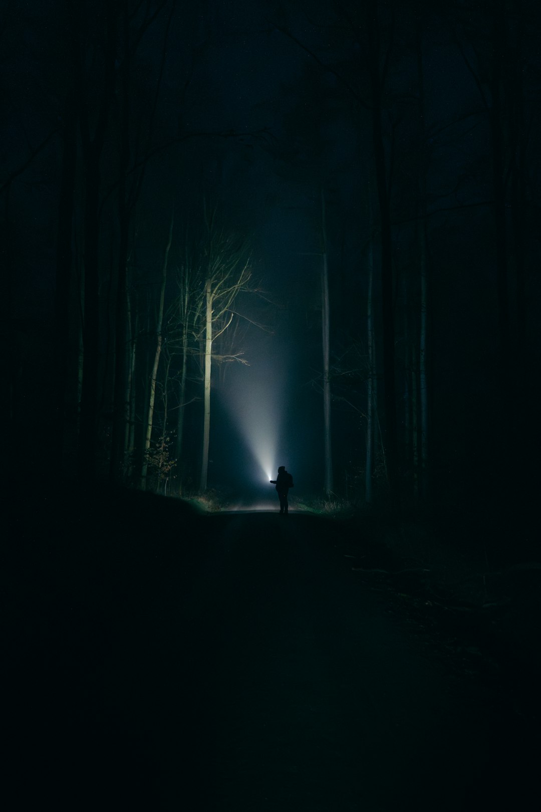 A person standing in the middle of a dark forest