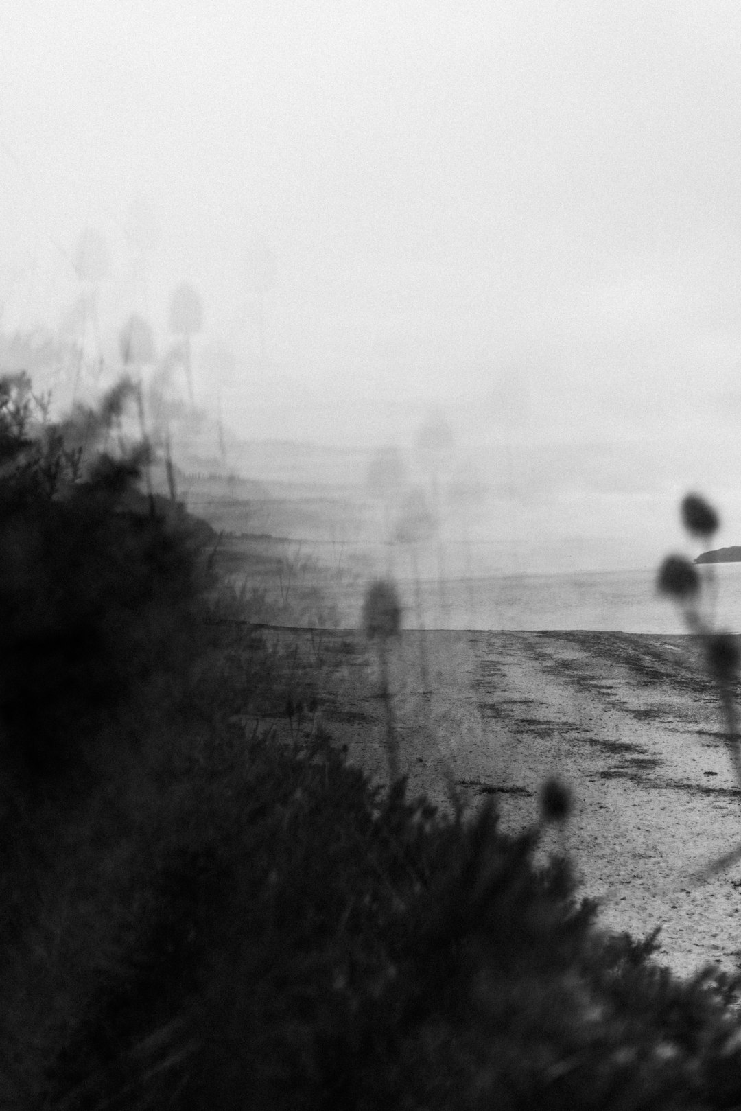 A black and white photo of a person walking on a beach