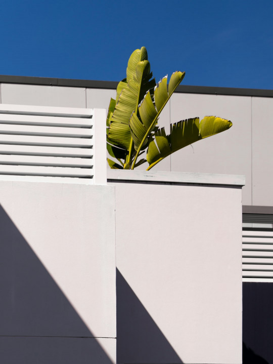 A building with a green plant on top of it