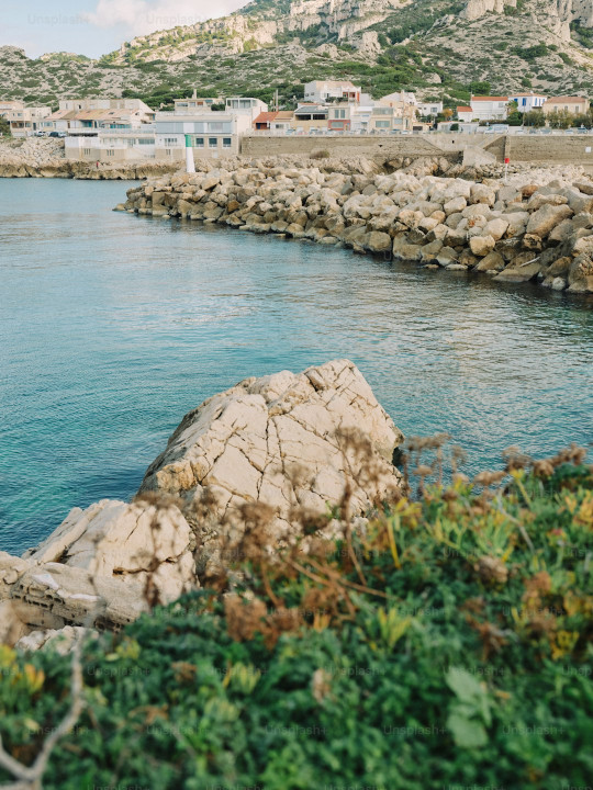 A body of water surrounded by rocks and greenery