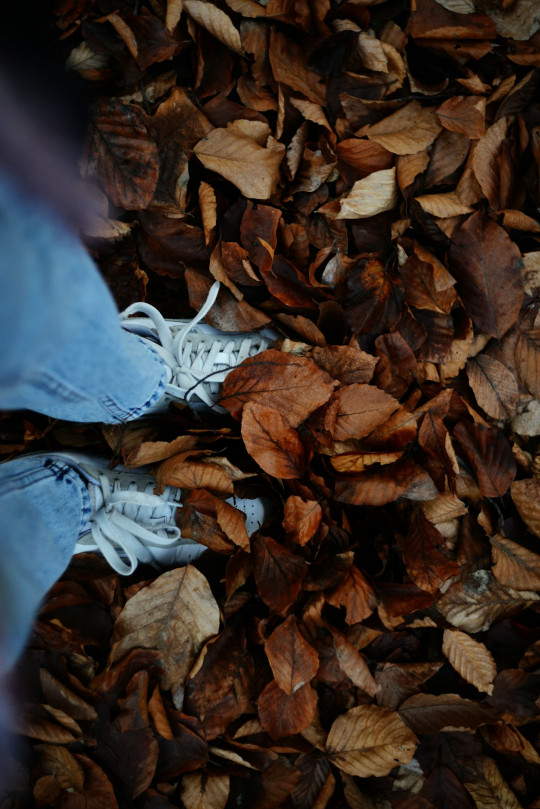 A person's feet in a pile of leaves