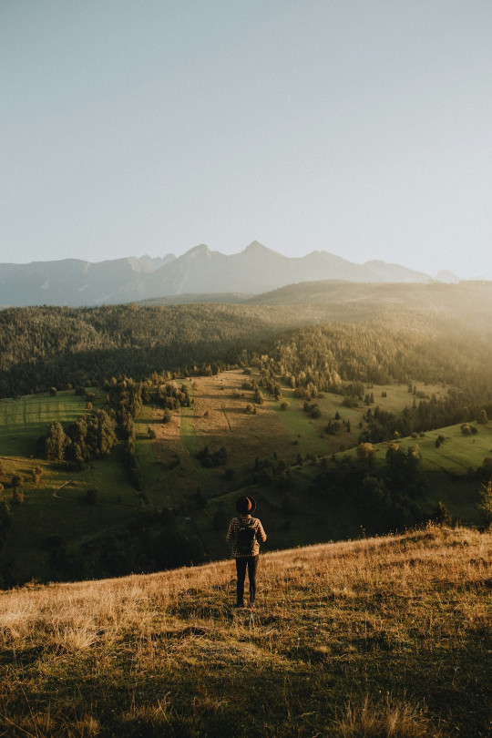 A man standing on top of a lush green hillside