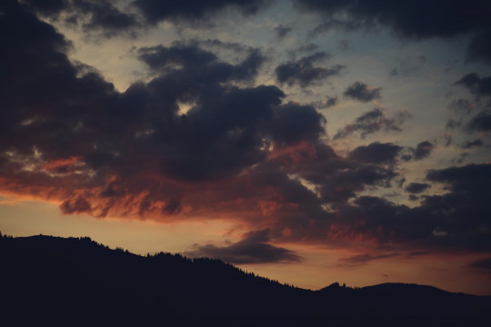 A bird flying in the sky with a sunset in the background