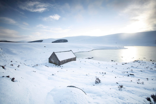 A snow covered field next to a body of water