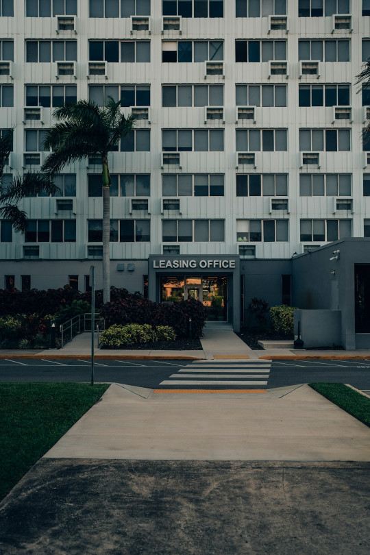 a tall building with a palm tree in front of it