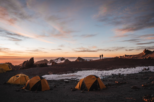 A group of tents sitting on top of a sandy beach