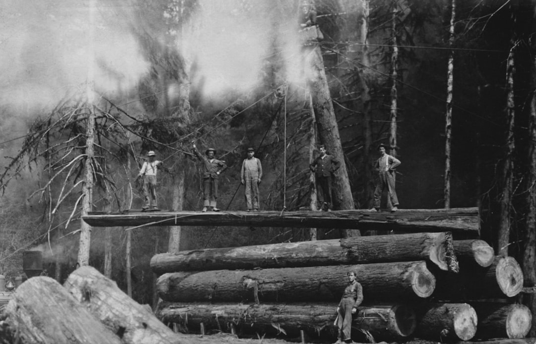 A black and white photo of men standing on logs