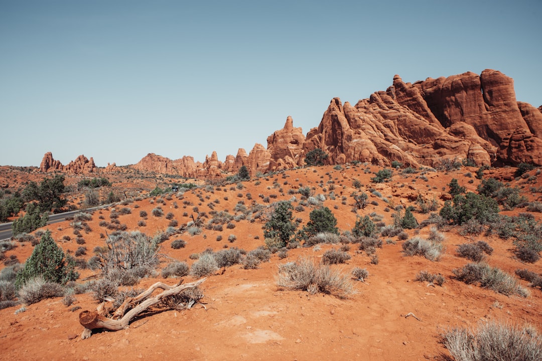 A desert landscape with rocks and plants in the foreground