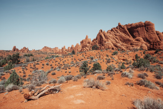 A desert landscape with rocks and plants in the foreground