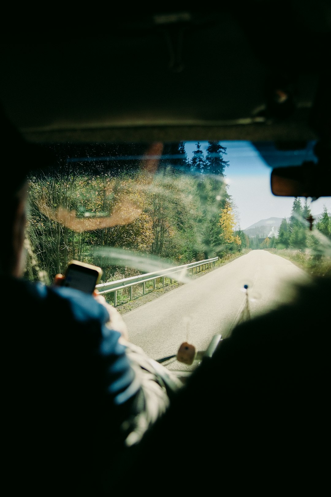 A man driving a car down a road next to a forest