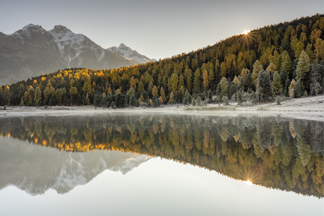 A lake surrounded by mountains and trees