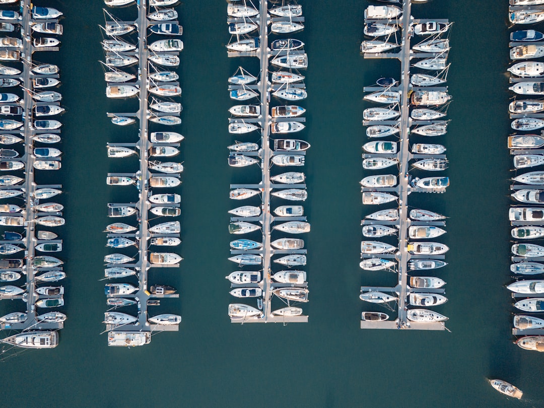 Aerial view of boats docked in a harbor