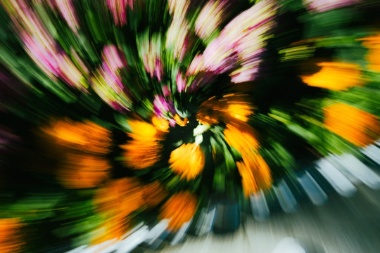 A blurry photo of a bunch of flowers