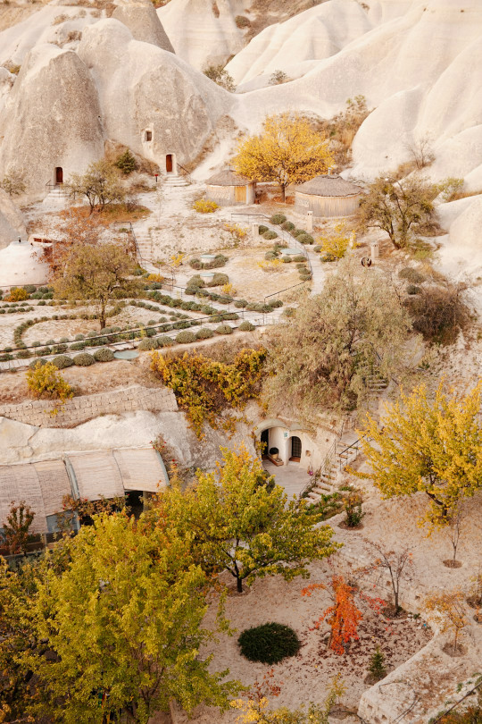 An aerial view of a rocky landscape with trees