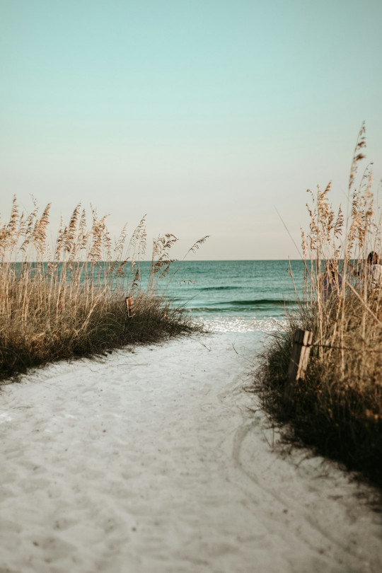 A sandy path leading to the ocean with sea oats in the foreground