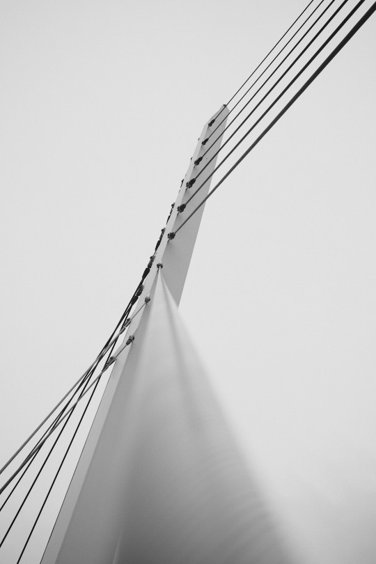 A black and white photo of a bridge