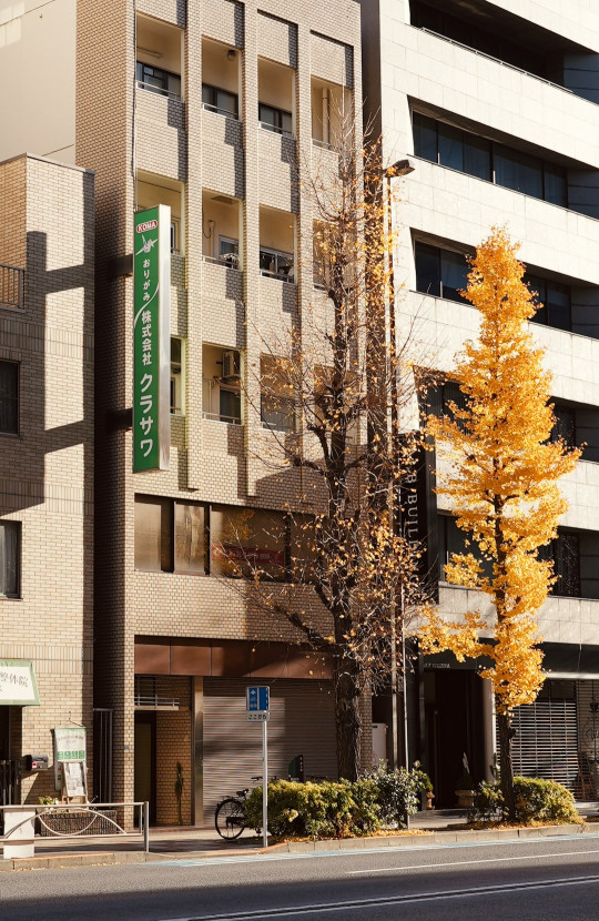 A tall building with a tree in front of it