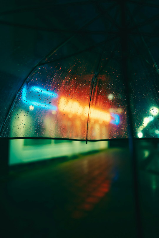 A person holding an umbrella in the rain